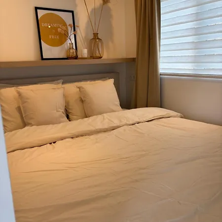 Tiny House T Kleine Paradijs Bed and breakfast Barneveld