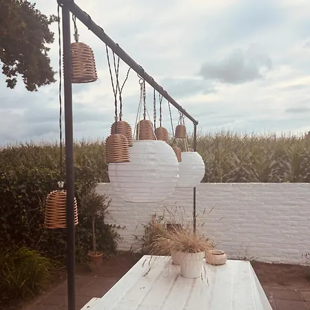 Tiny House T Kleine Paradijs Barneveld