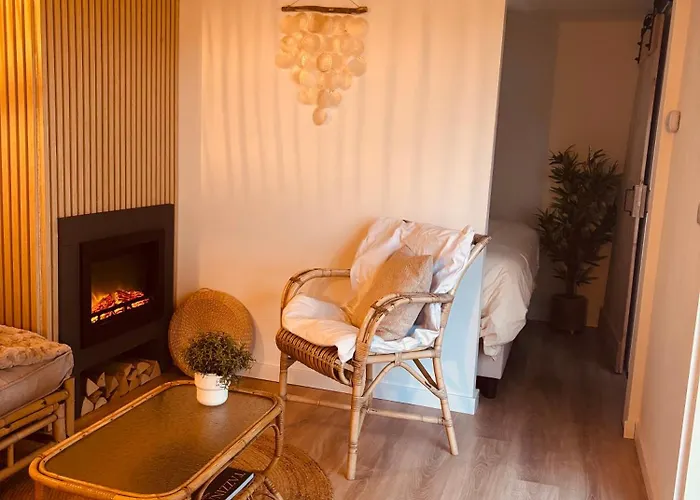 Tiny House T Kleine Paradijs 4* Barneveld