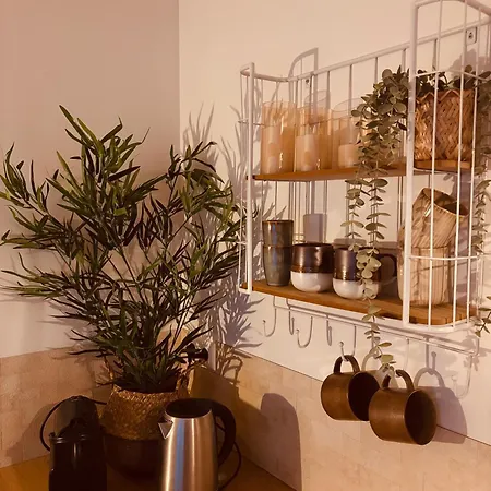 Tiny House T Kleine Paradijs 4* 바르네벨트