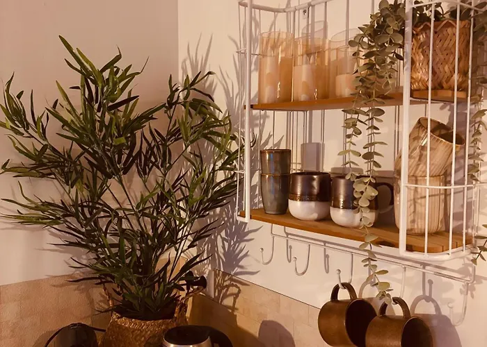 Tiny House T Kleine Paradijs 4* בארנפלד